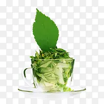 ��Ҷ-������