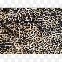豹纹斑点背景-空若网 豹纹斑点背景-空若网