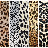 ���Ʊ���ͼ��-������