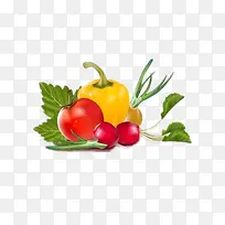 �Ϲ��߲�-������