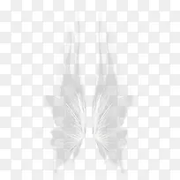 翅膀-空若网 翅膀-空若网