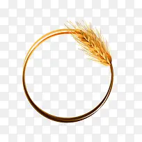 ����߿�-������