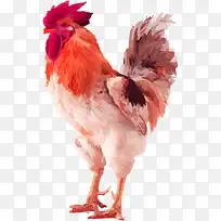 ��ɫ�󹫼�ʸ���زĶ���-������