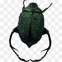 ī��ɫ�׿ǳ�-������