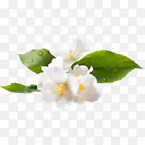 ŭ�ŵİ�ɫ����-������