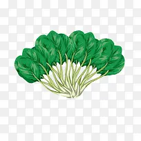 卡通蔬菜平面设计素材-空若网 卡通蔬菜平面设计素材-空若网