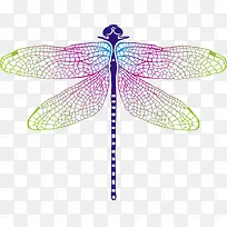 ��ɫƯ������������-������