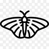 蝴蝶图标-空若网 蝴蝶图标-空若网