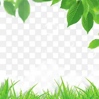 绿草如茵-空若网 绿草如茵-空若网