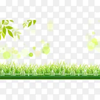 绿色背景-空若网 绿色背景-空若网