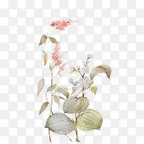 Ψ��ˮ���ֻ��ʻ�-������