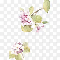 Ψ��ˮ���ֻ��ʻ�-������