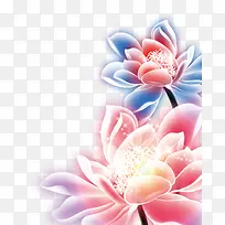 彩色花-空若网 彩色花-空若网