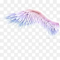 白色长天使翅膀-空若网 白色长天使翅膀-空若网