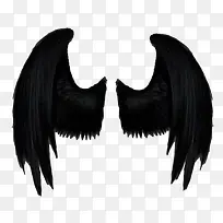 黑色的翅膀素材图片-空若网 黑色的翅膀素材图片-空若网