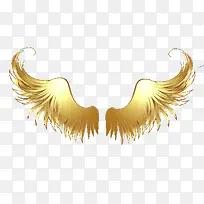 ��ɫ���-������