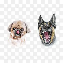 水彩狗头-空若网 水彩狗头-空若网