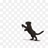 狗科食肉宠物动物黑豹-空若网 狗科食肉宠物动物黑豹-空若网