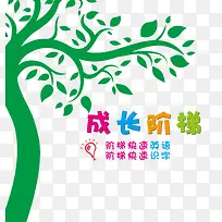 �ǻ���ľ-������