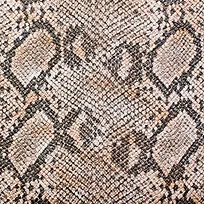 蛇皮背景-空若网 蛇皮背景-空若网