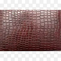 Ƥ¸ï±³¾°-¿ÕÈôÍø Ƥ¸ï±³¾°-¿ÕÈôÍø