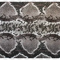 É߯¤ÎÆÀí±³¾°-¿ÕÈôÍø É߯¤ÎÆÀí±³¾°-¿ÕÈôÍø