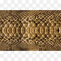 蛇皮背景-空若网 蛇皮背景-空若网