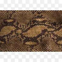 蛇皮背景纹理-空若网 蛇皮背景纹理-空若网