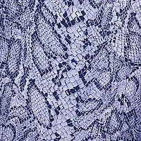 蛇皮背景-空若网 蛇皮背景-空若网