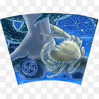 癌症星座占星术占优势癌症占星术-空若网 癌症星座占星术占优势癌症占星术-空若网