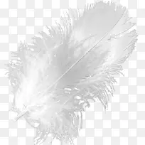 白色羽毛PNG素材-空若网 白色羽毛PNG素材-空若网