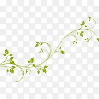 翠绿的小树枝元素-空若网 翠绿的小树枝元素-空若网