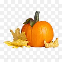 橙色南瓜图片-空若网 橙色南瓜图片-空若网