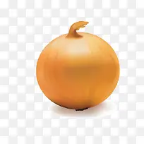 洋葱蔬菜-空若网 洋葱蔬菜-空若网