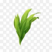 草绿色草春天一棵草-空若网 草绿色草春天一棵草-空若网