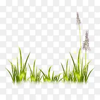 薰衣草简画-空若网 薰衣草简画-空若网