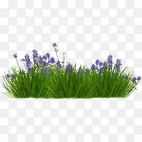 ��ɫ޹�²�-������