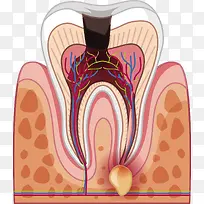 ʸ�����ݽṹ����-������