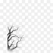 ��֦-������