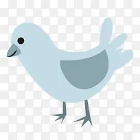 可爱信鸽-空若网 可爱信鸽-空若网