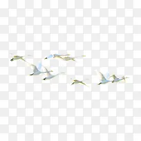 飞天的白色天鹅-空若网 飞天的白色天鹅-空若网