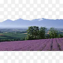 ޹�²�ͼƬ��-������