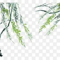 柳树-空若网 柳树-空若网