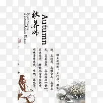 秋月肺-空若网 秋月肺-空若网