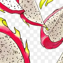 手绘火龙果-空若网 手绘火龙果-空若网