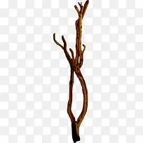 枯藤树枝枝头-空若网 枯藤树枝枝头-空若网