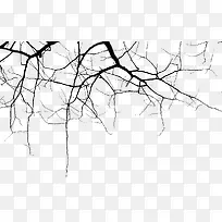 盘根错节的枯树枝-空若网 盘根错节的枯树枝-空若网
