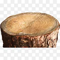 摄影特写树桩花纹-空若网 摄影特写树桩花纹-空若网