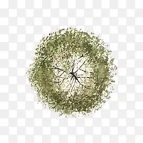 2017绿色创意手绘树顶-空若网 2017绿色创意手绘树顶-空若网