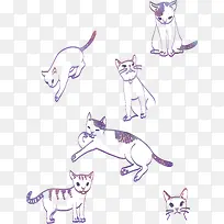 �ɰ������ֻ�Сè-������